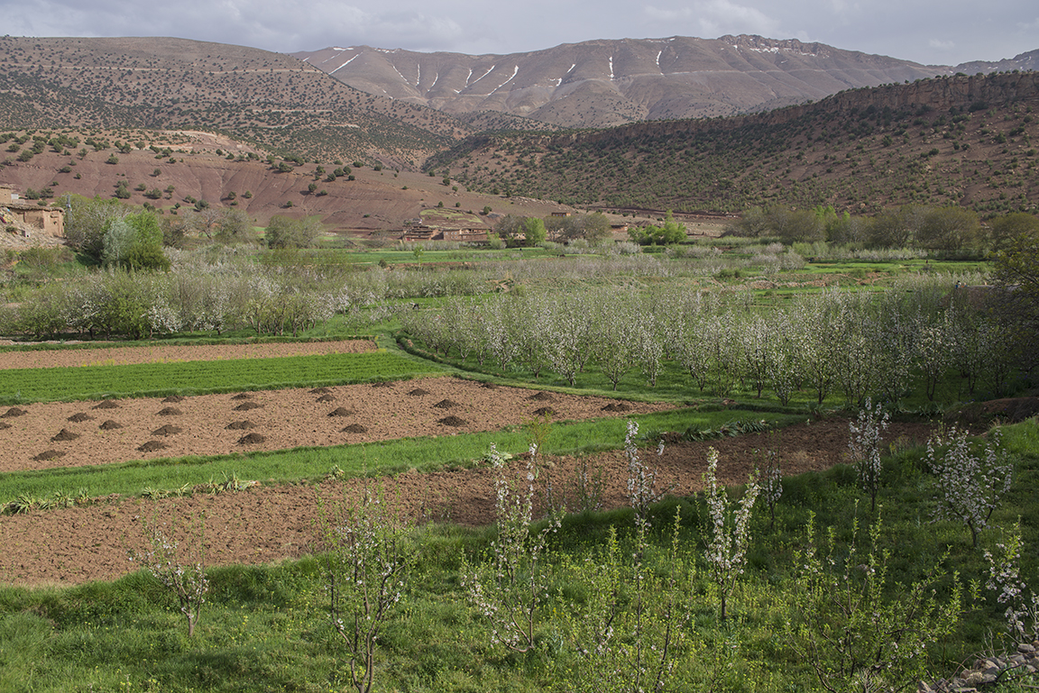 Fields and view of the High Atlas Mountains