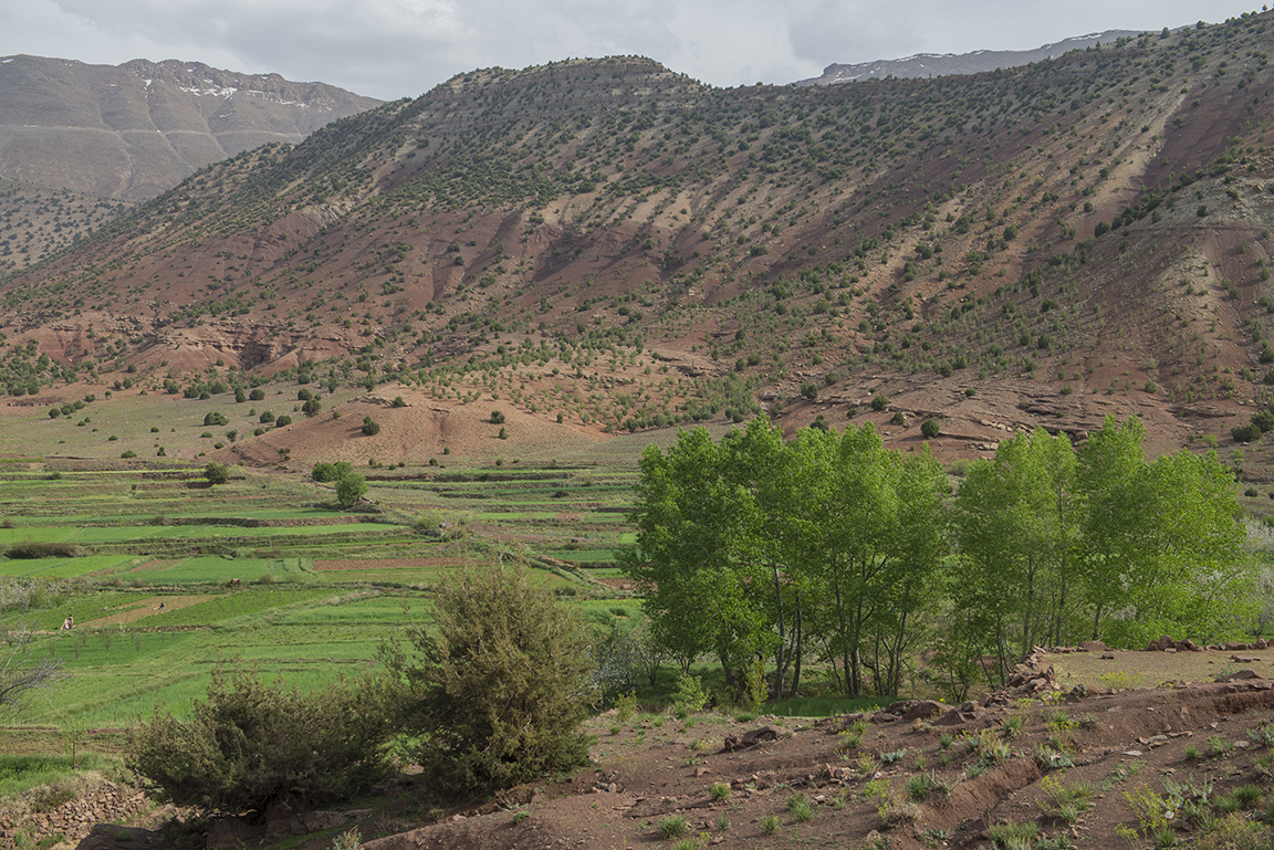 Ait Bougoumez Valley