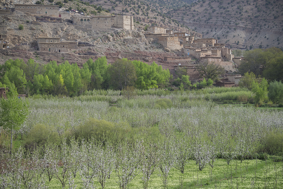 Village in the Ait Bougoumez Valley