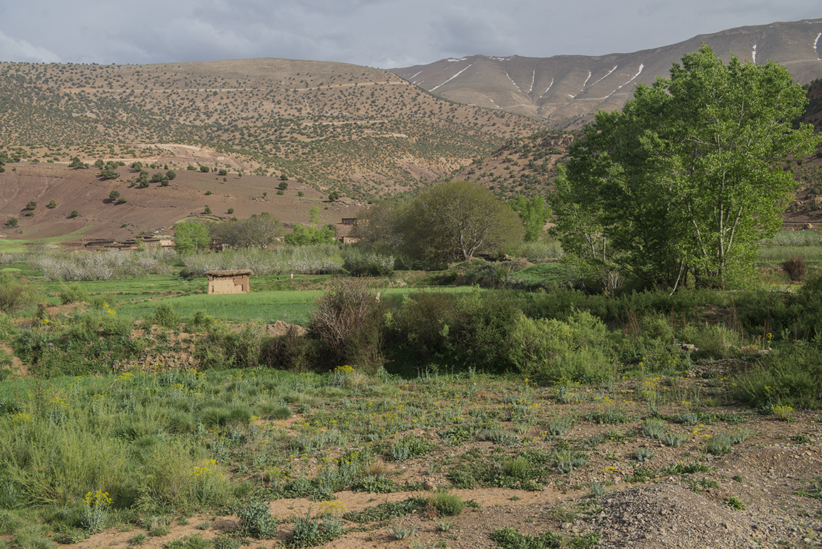 Village in the Ait Bougoumez Valley