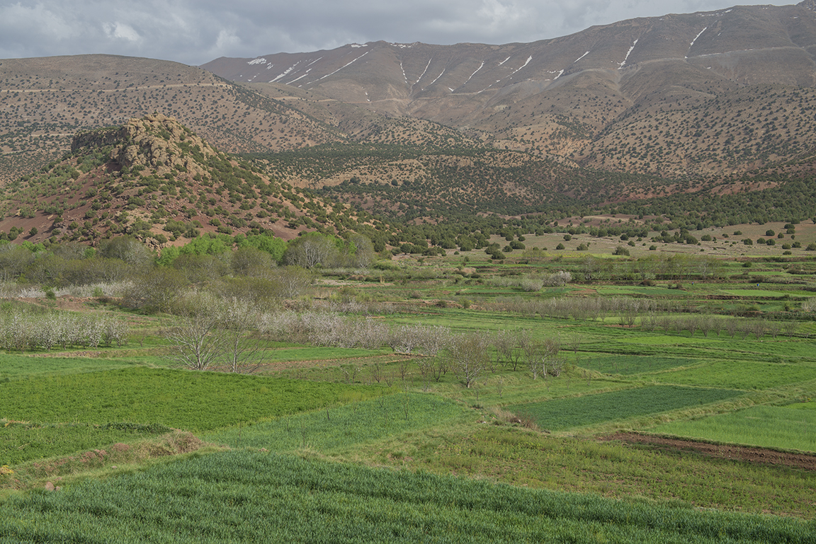 View of the High Atlas Mountains from the Ait Bougoumez Valley