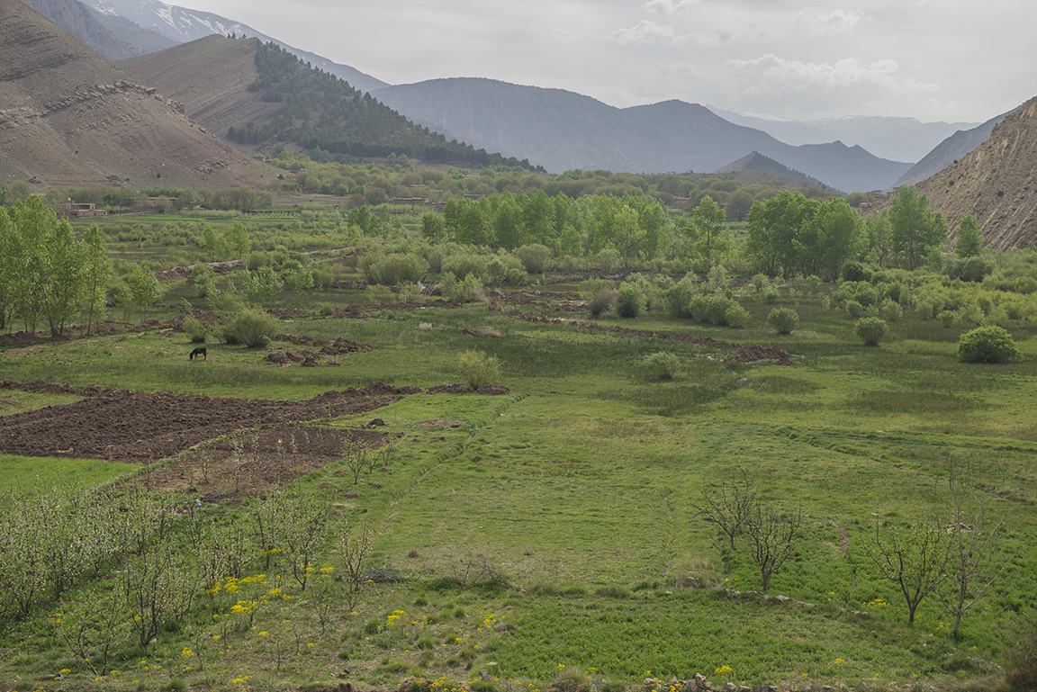 View of the Ait Bougoumez Valley