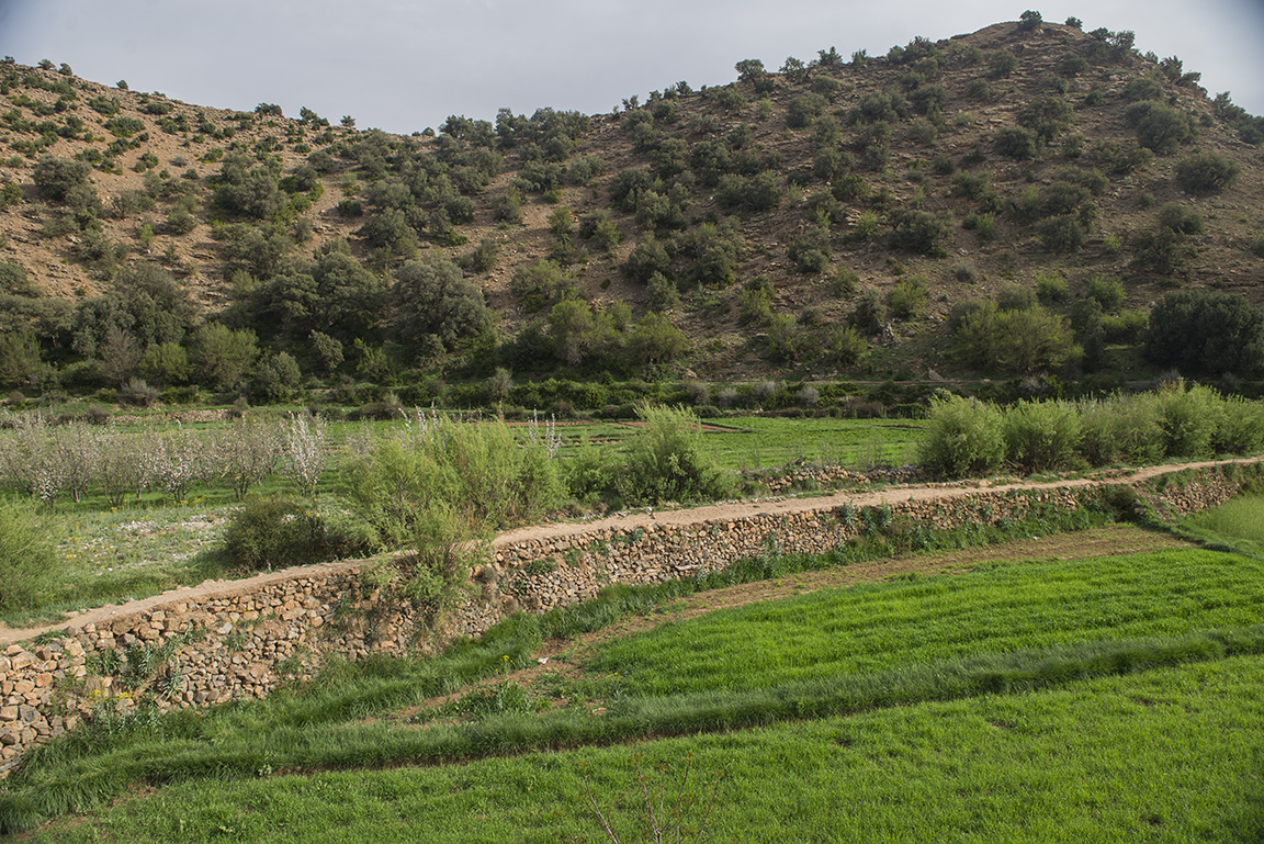 Ait Bougoumez Valley