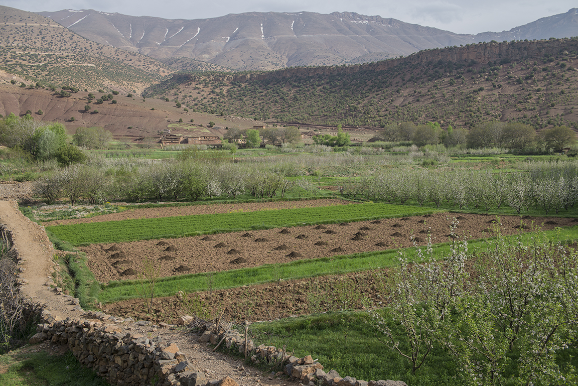 View of the High Atlas Mountains in the Ait Bougoumez Valley