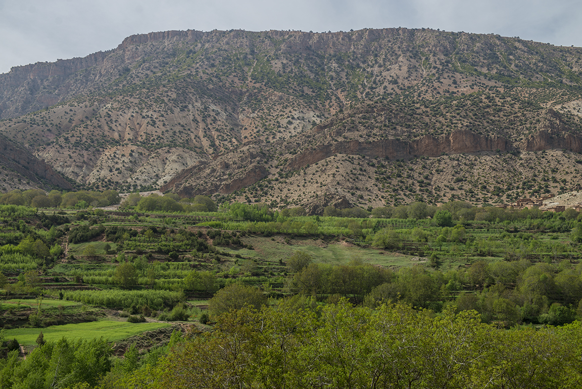 Ait Bougoumez Valley