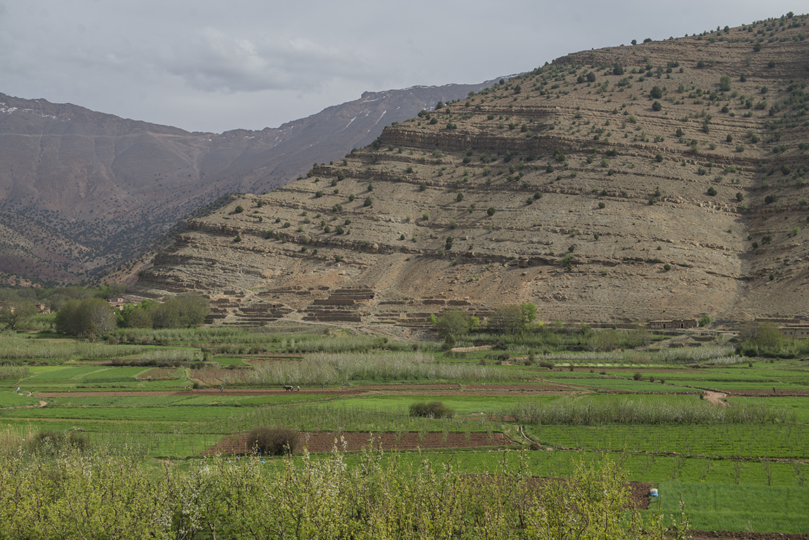 Late afternoon view of the Ait Bougoumez Valley