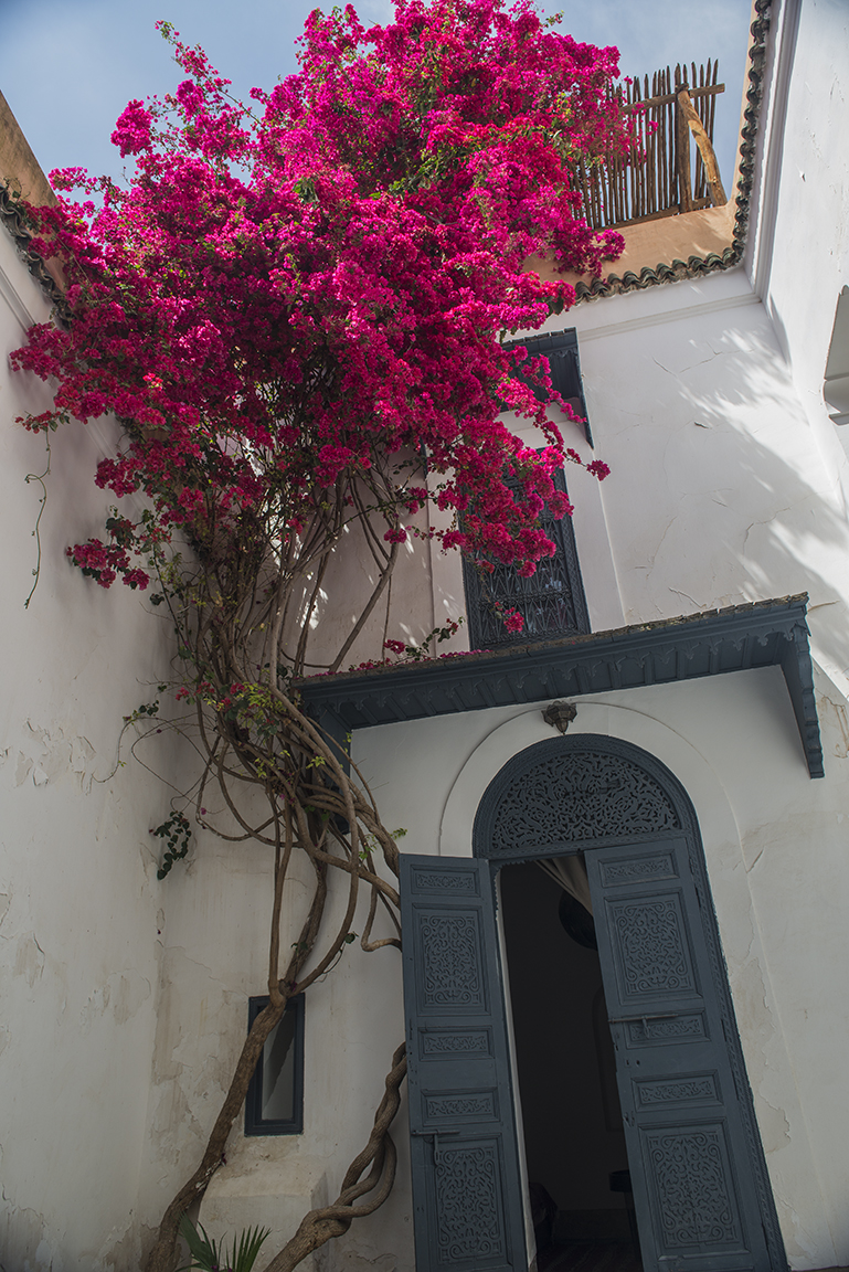 View of a riad couryard