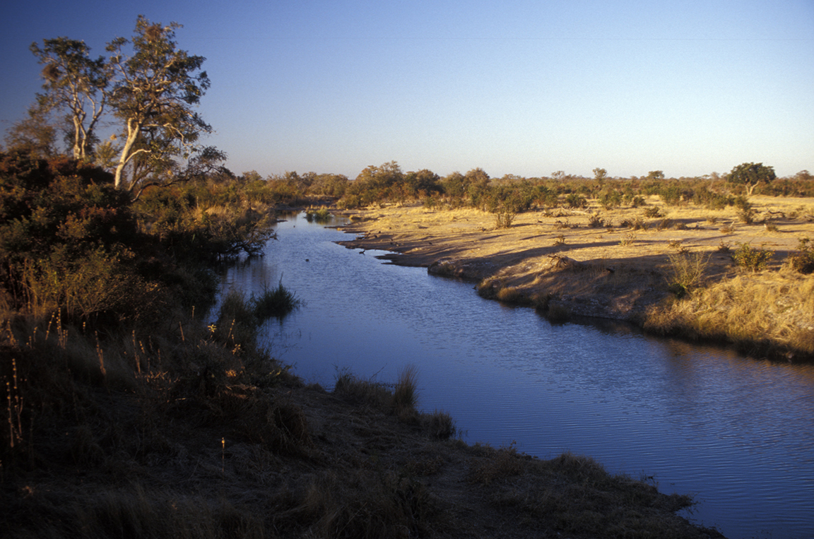 Stacks Image 67