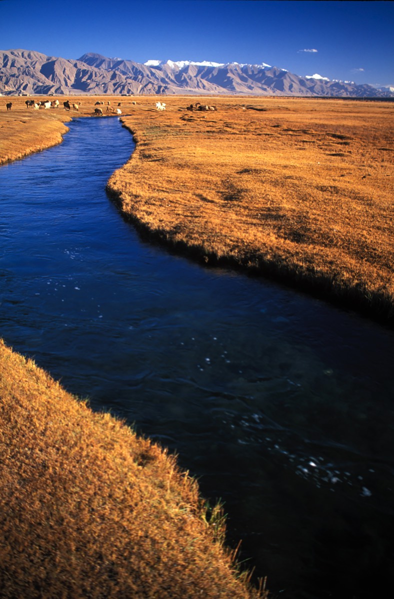 Stacks Image 47