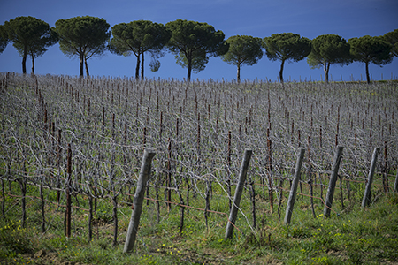 Tuscany