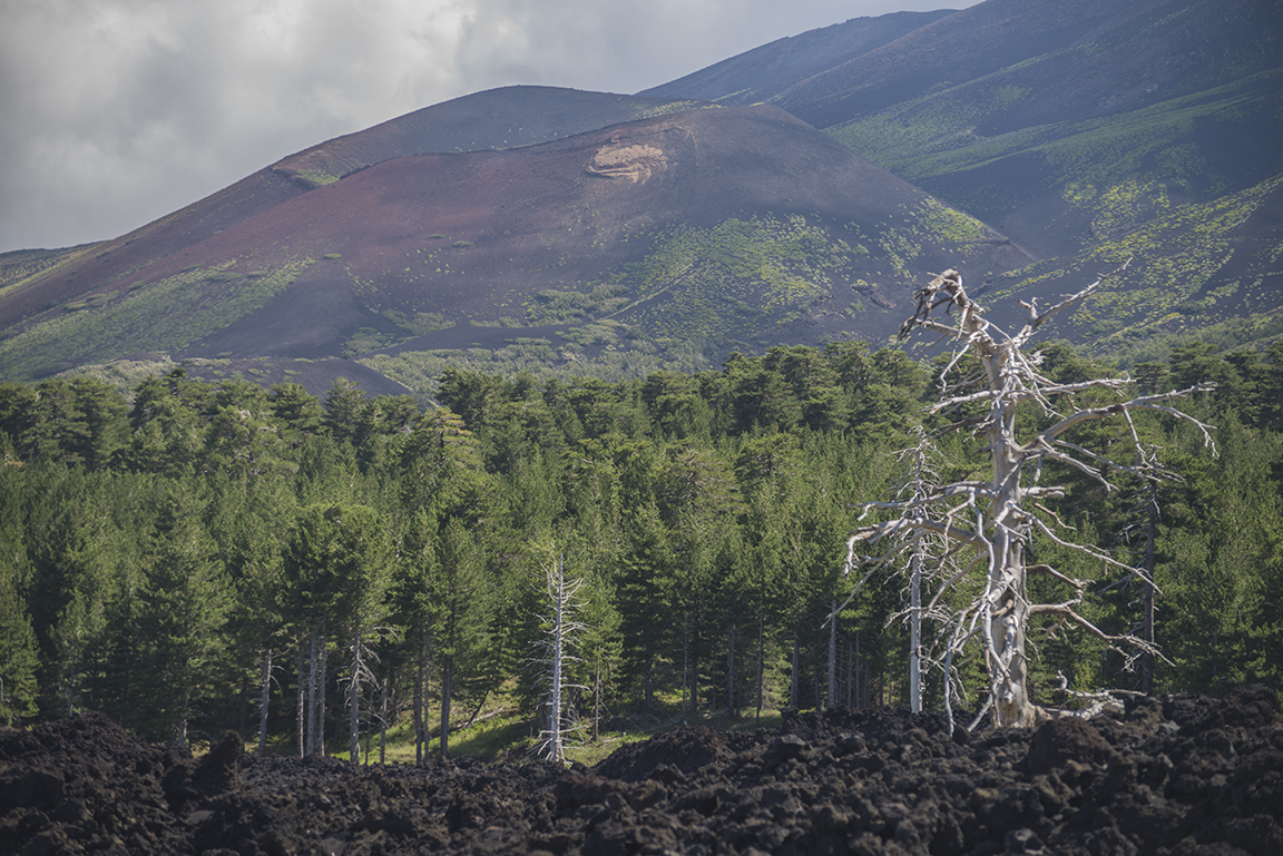 Countryside around Mount Etna