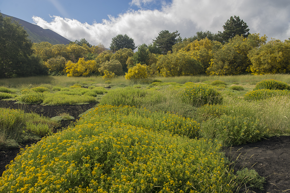 Countryside around Mount Etna