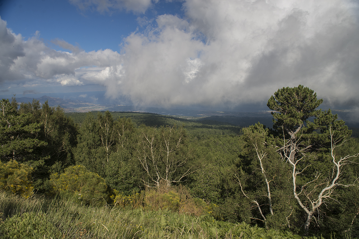 Countryside around Mount Etna