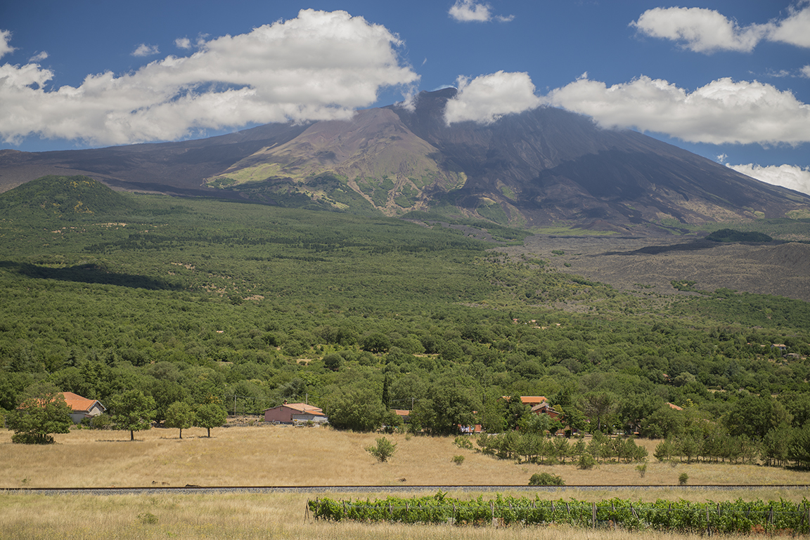 View of western slope of Mount Etna