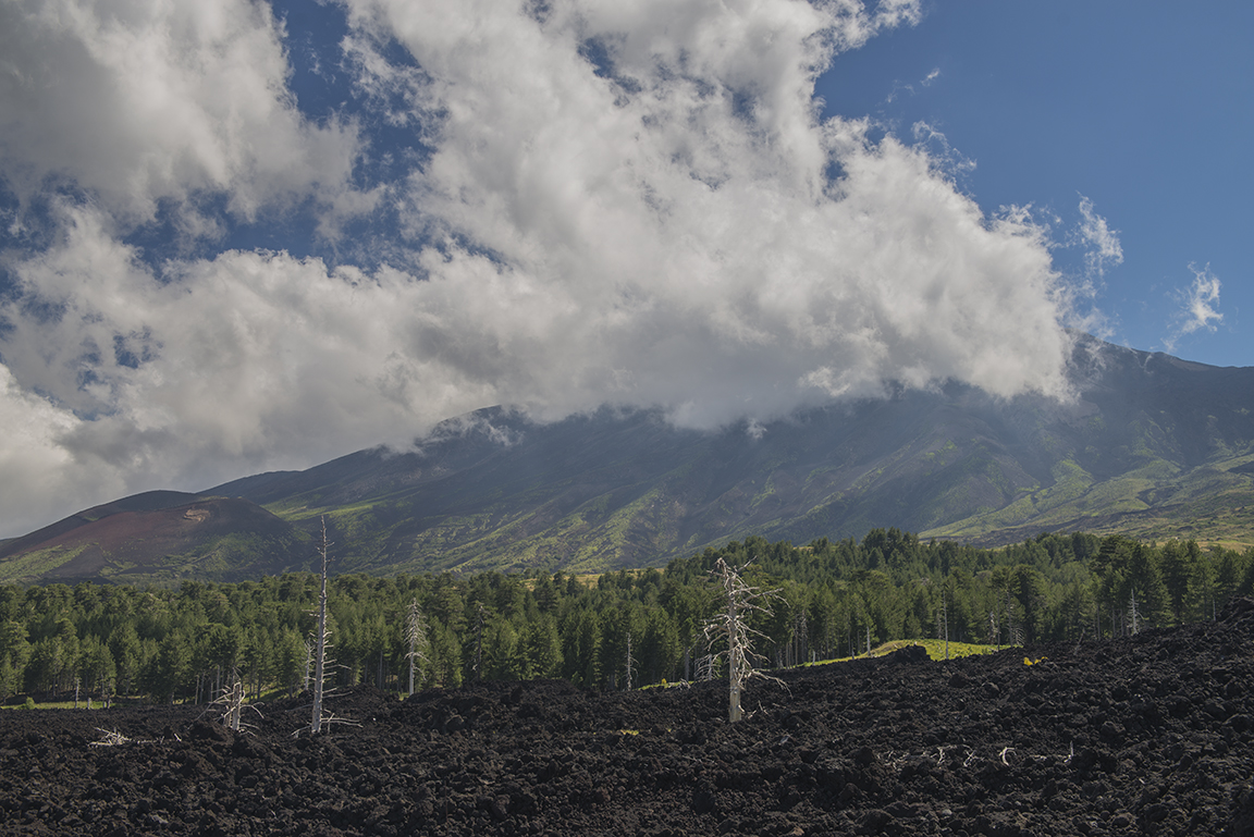 View of northern slope of Mount Etna