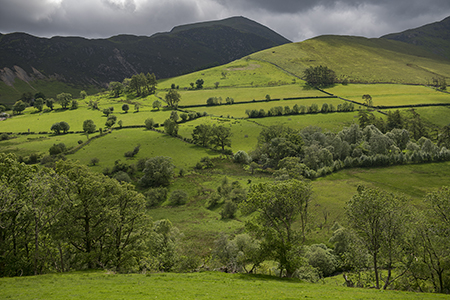 Yorkshire Dales and the Peak District