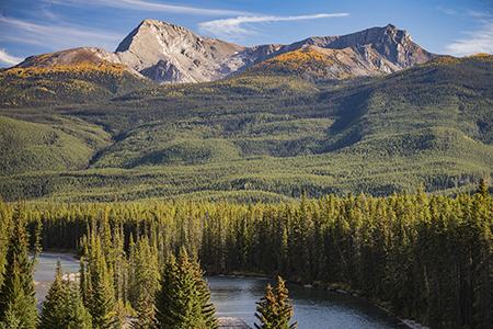 Bow Valley Parkway