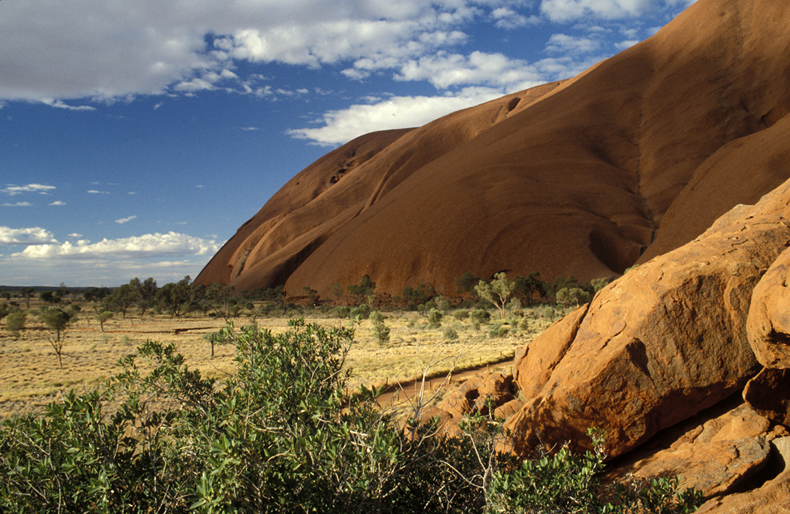 Stacks Image 90