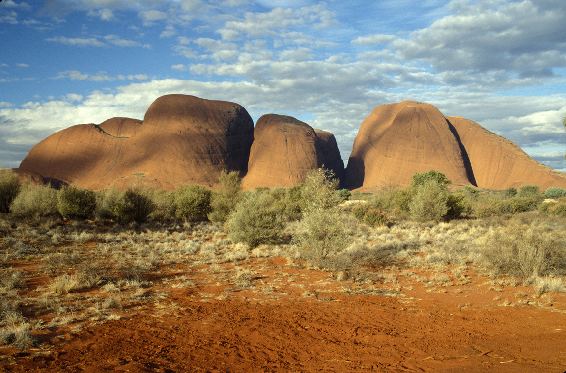 Stacks Image 70