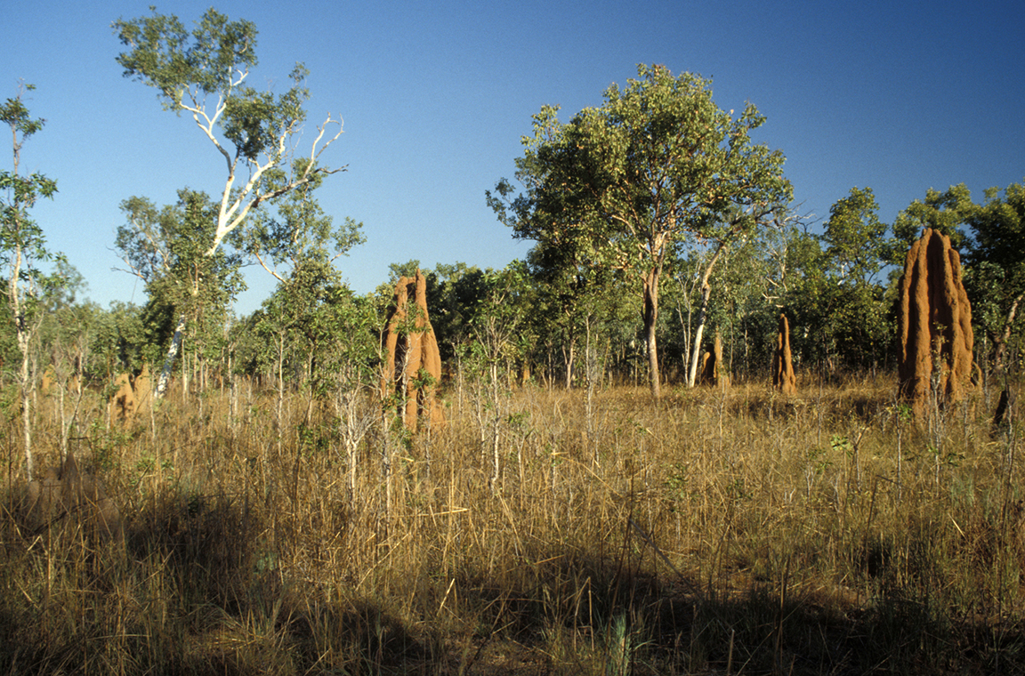 Stacks Image 72