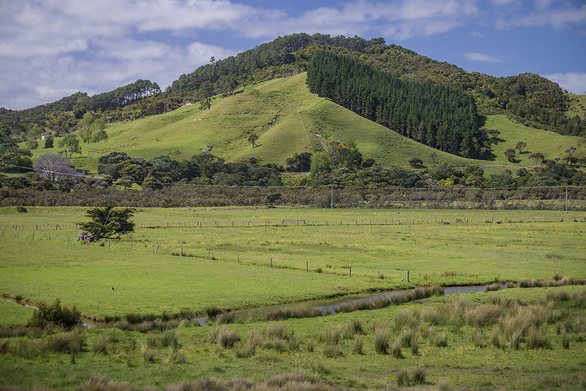 Opononi and view of the Hokianga