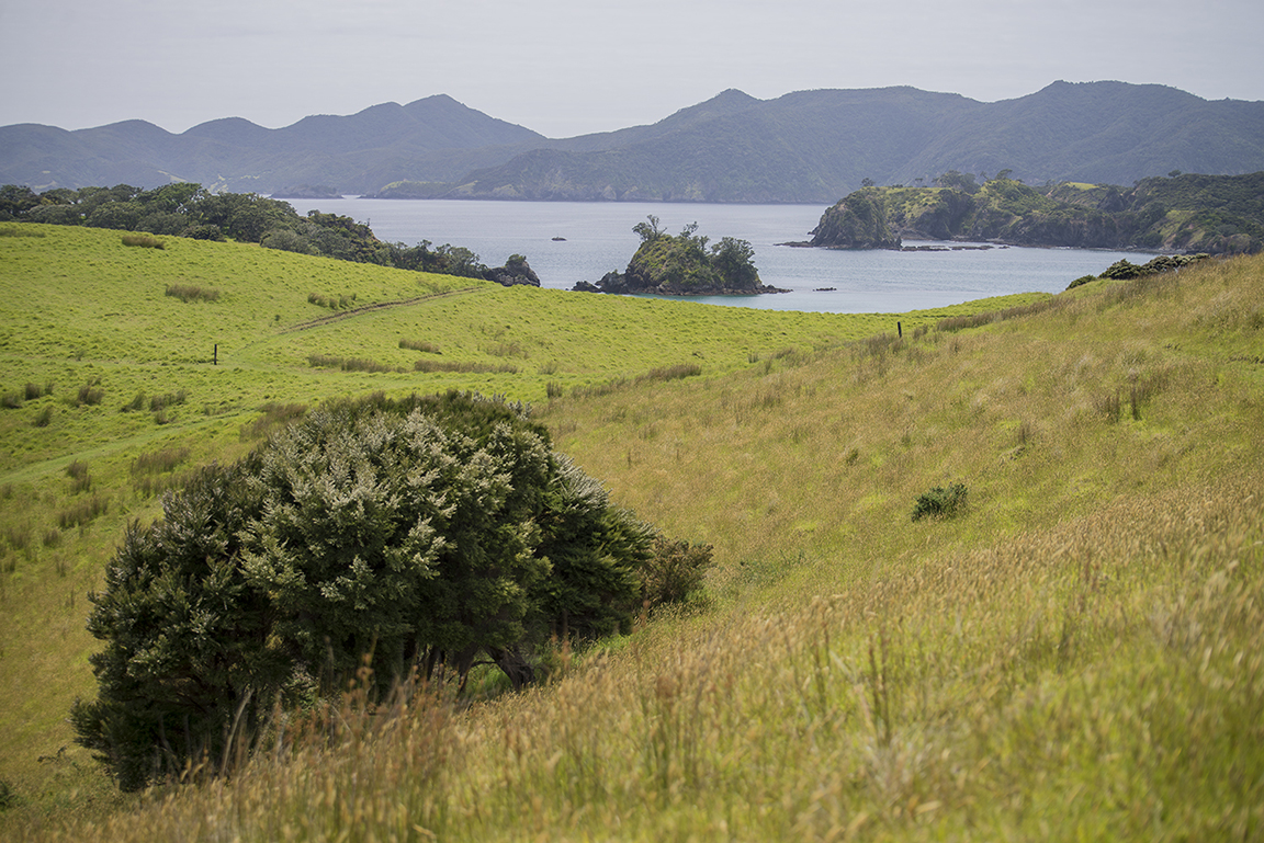 Bay of Islands