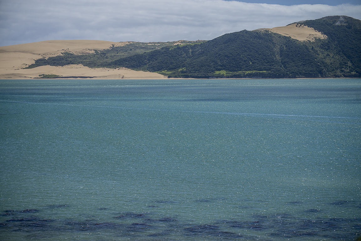 Opononi and view of the Hokianga