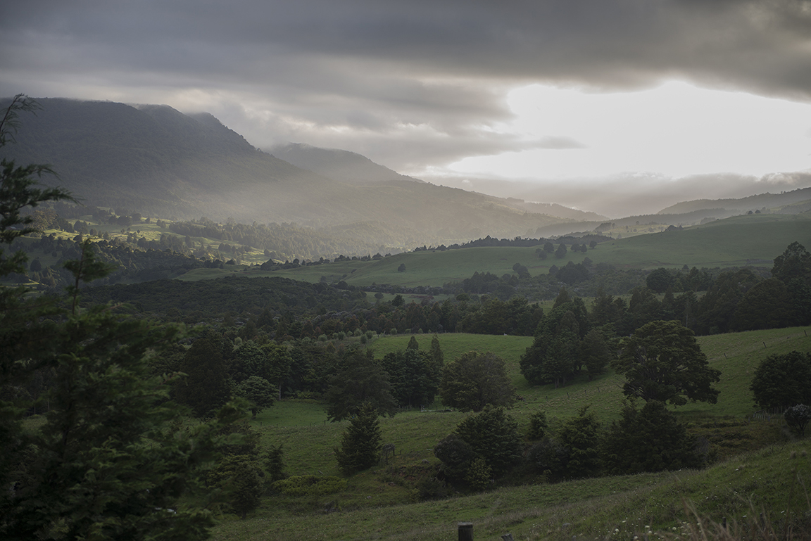 Morning light in the Waimamku Valley