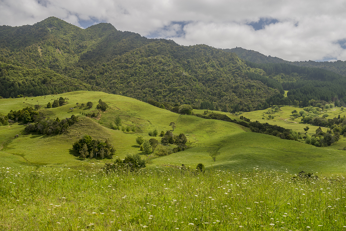 Opononi and view of the Hokianga