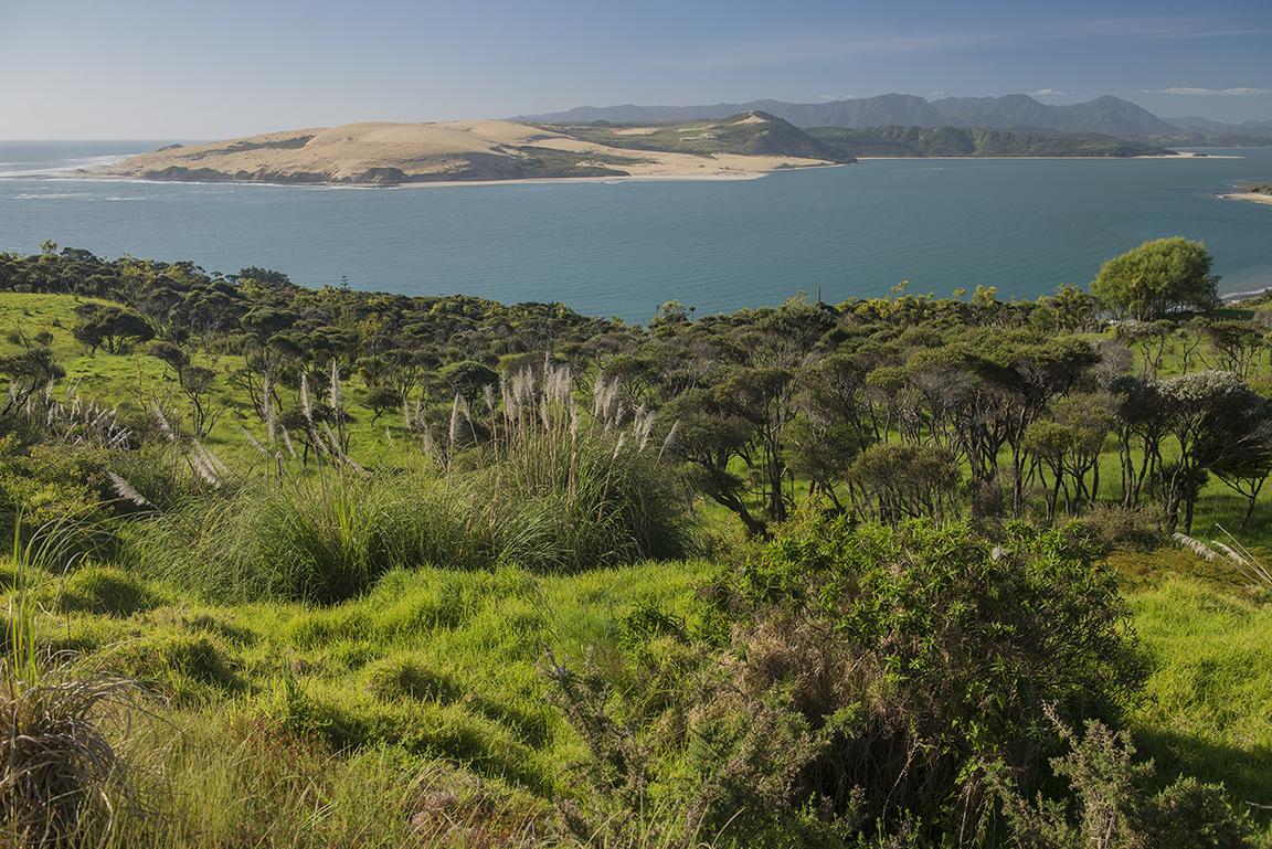 Opononi and view of the Hokianga