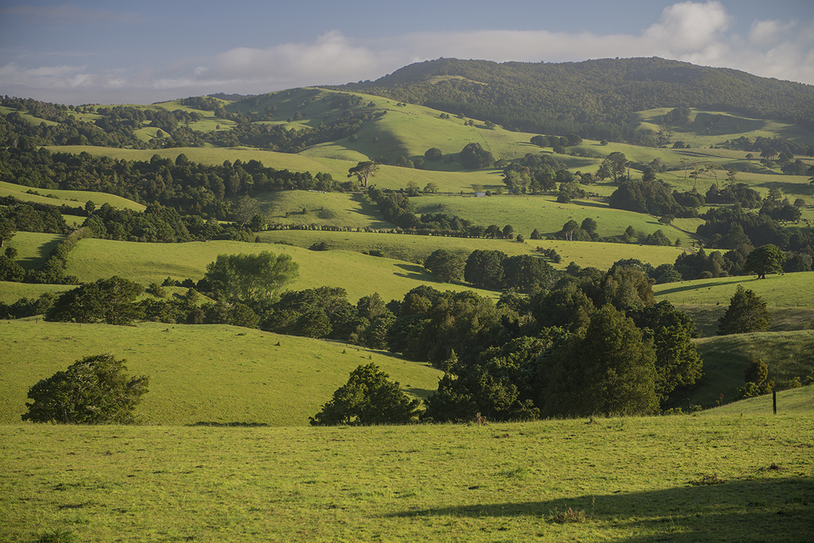 Waimamku Valley