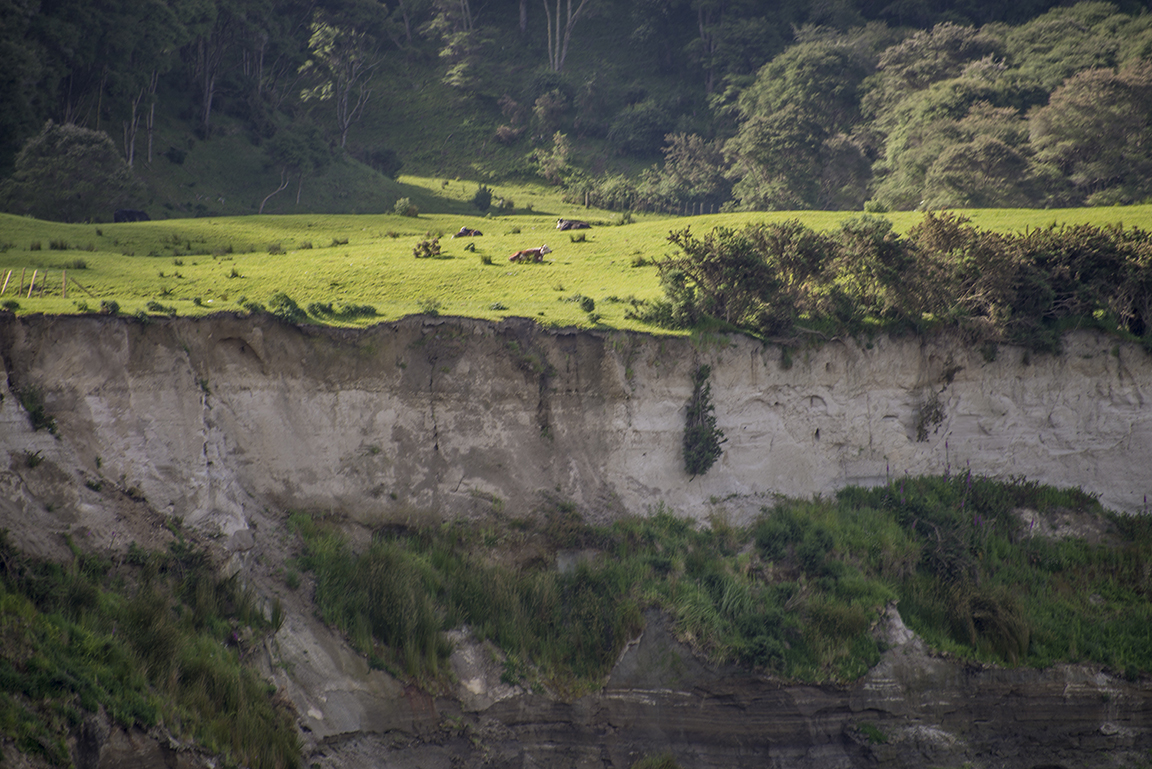 Whanganui River in Whanganui National Park