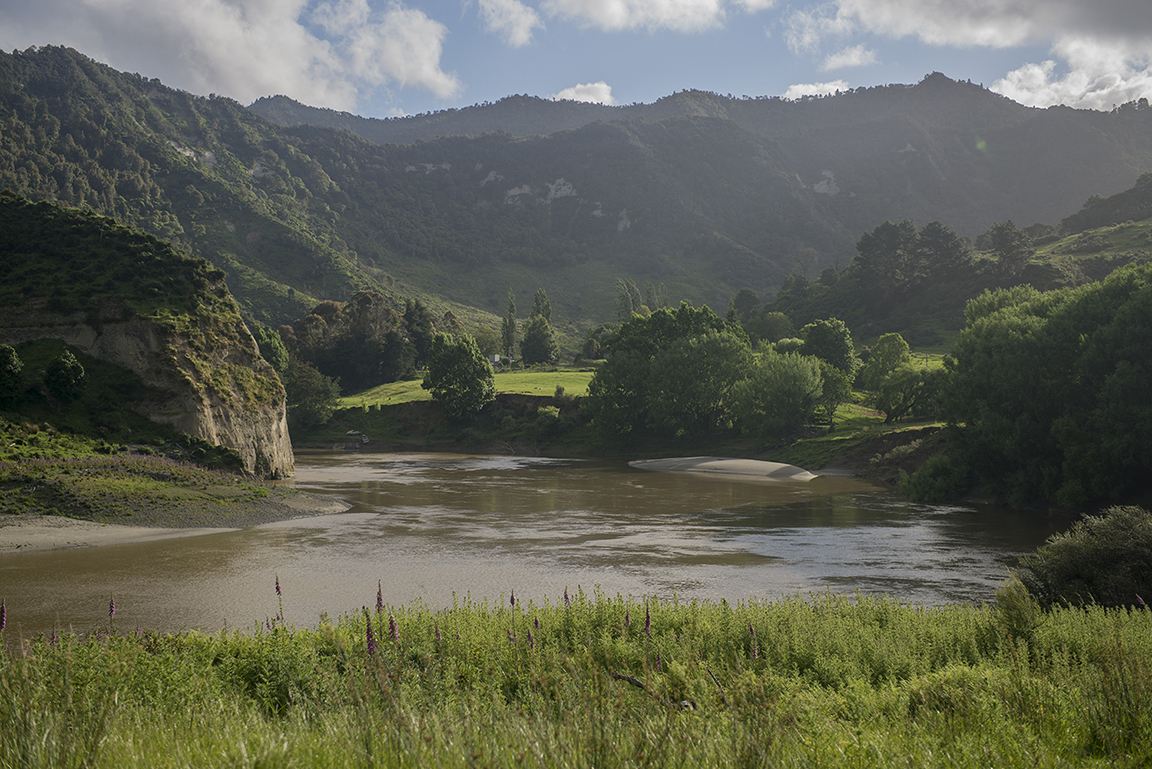 Whanganui River in Whanganui National Park