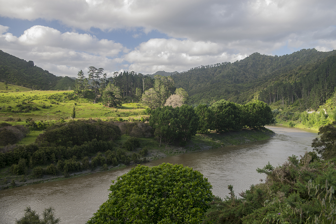 Whanganui River in Whanganui National Park