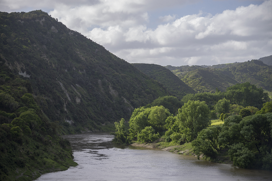 Whanganui River in Whanganui National Park