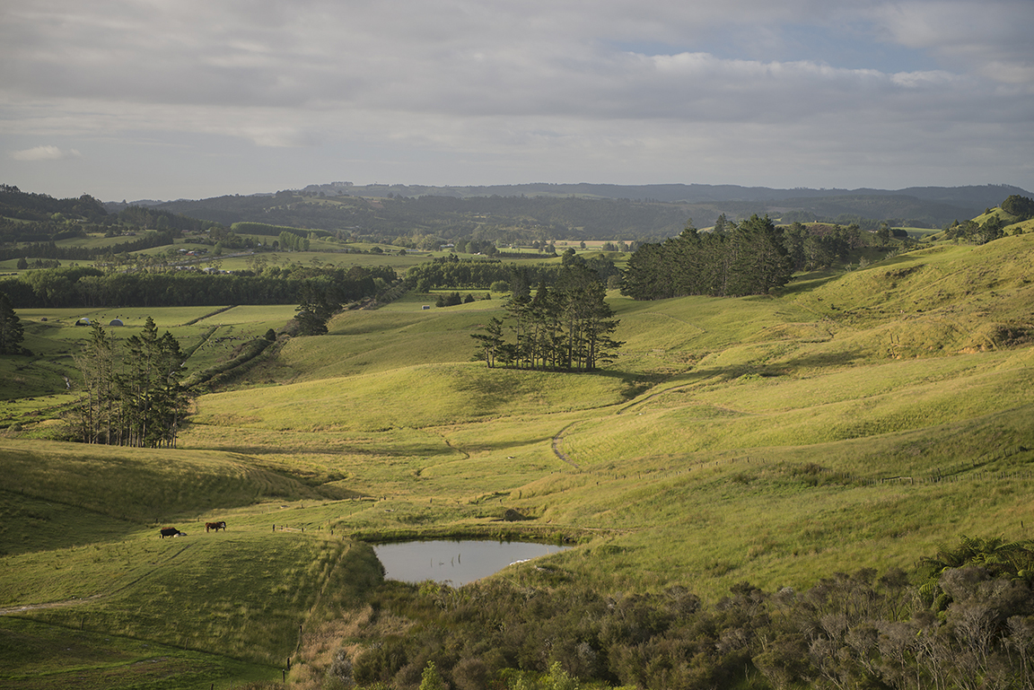 Whanganui River Valley in Whanganui National Park