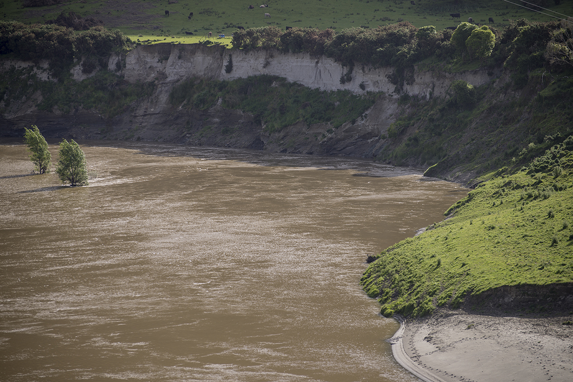 Whanganui River in Whanganui National Park