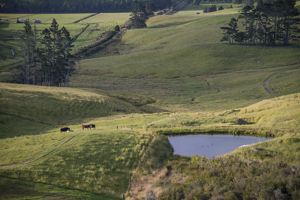 Whanganui River Valley in Whanganui National Park