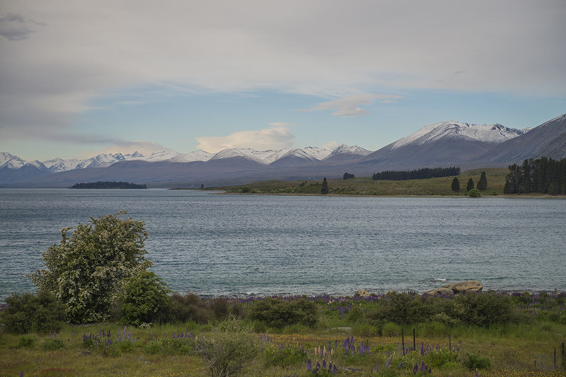 Late afternoon at Lake Tekapo