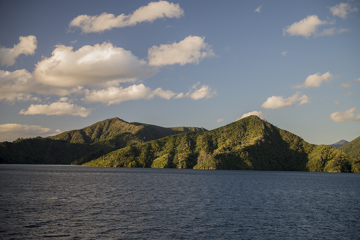 View from the ferry in Queen Charlotte Sound