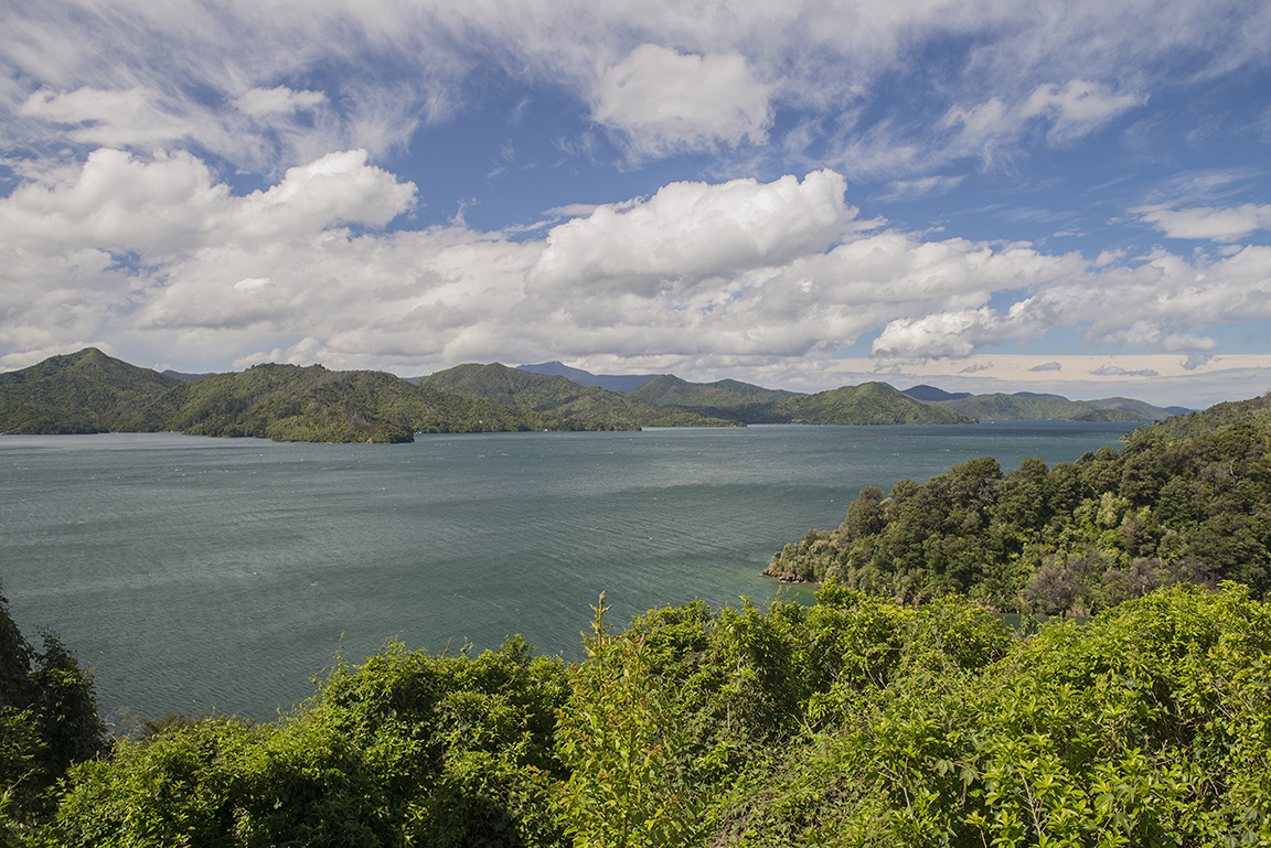 Queen Charlotte Sound