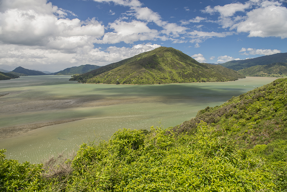  Queen Charlotte Sound