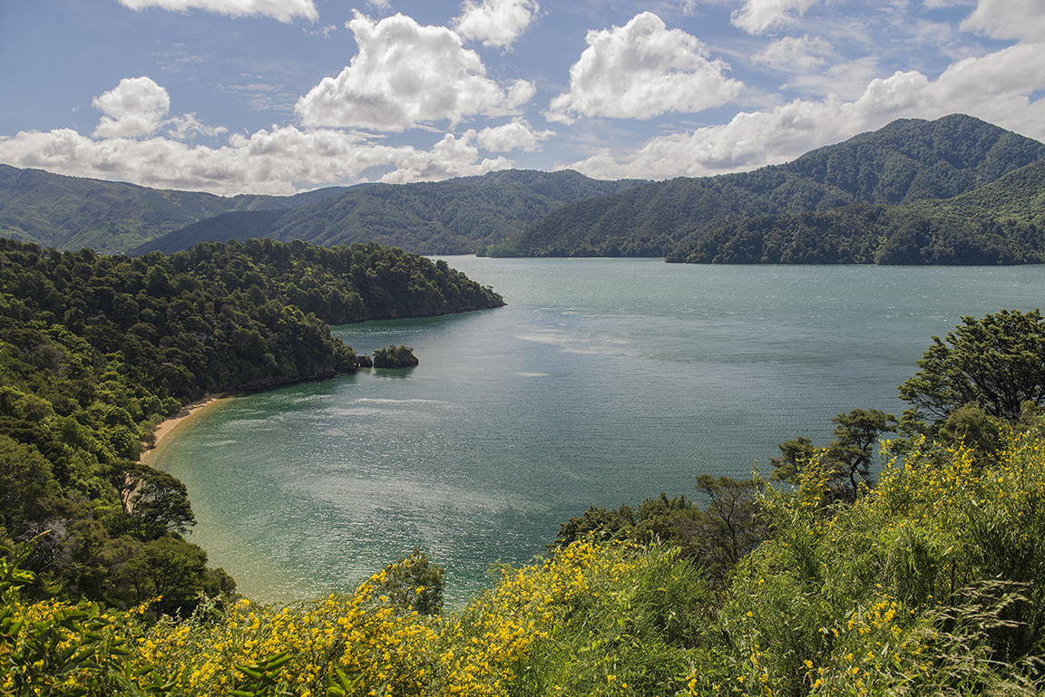 Queen Charlotte Sound