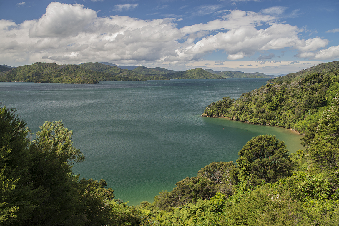 Queen Charlotte Sound