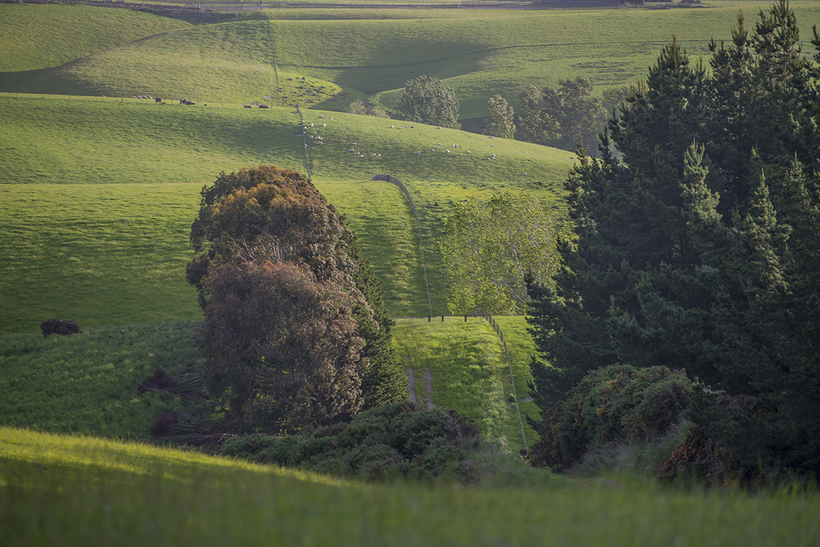 Countryside near Baclutha