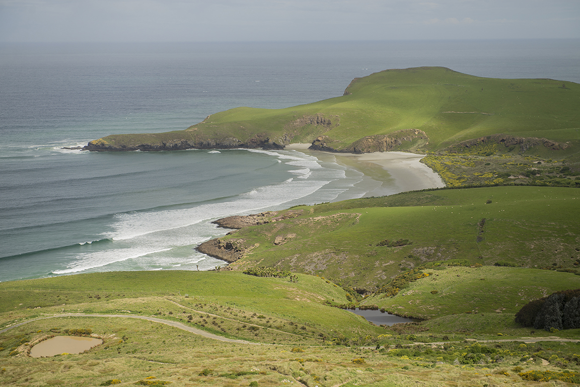 Otago Peninsula near Dunedin