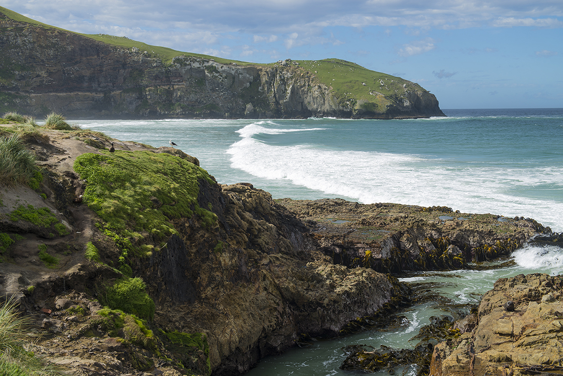 Otago Peninsula near Dunedin