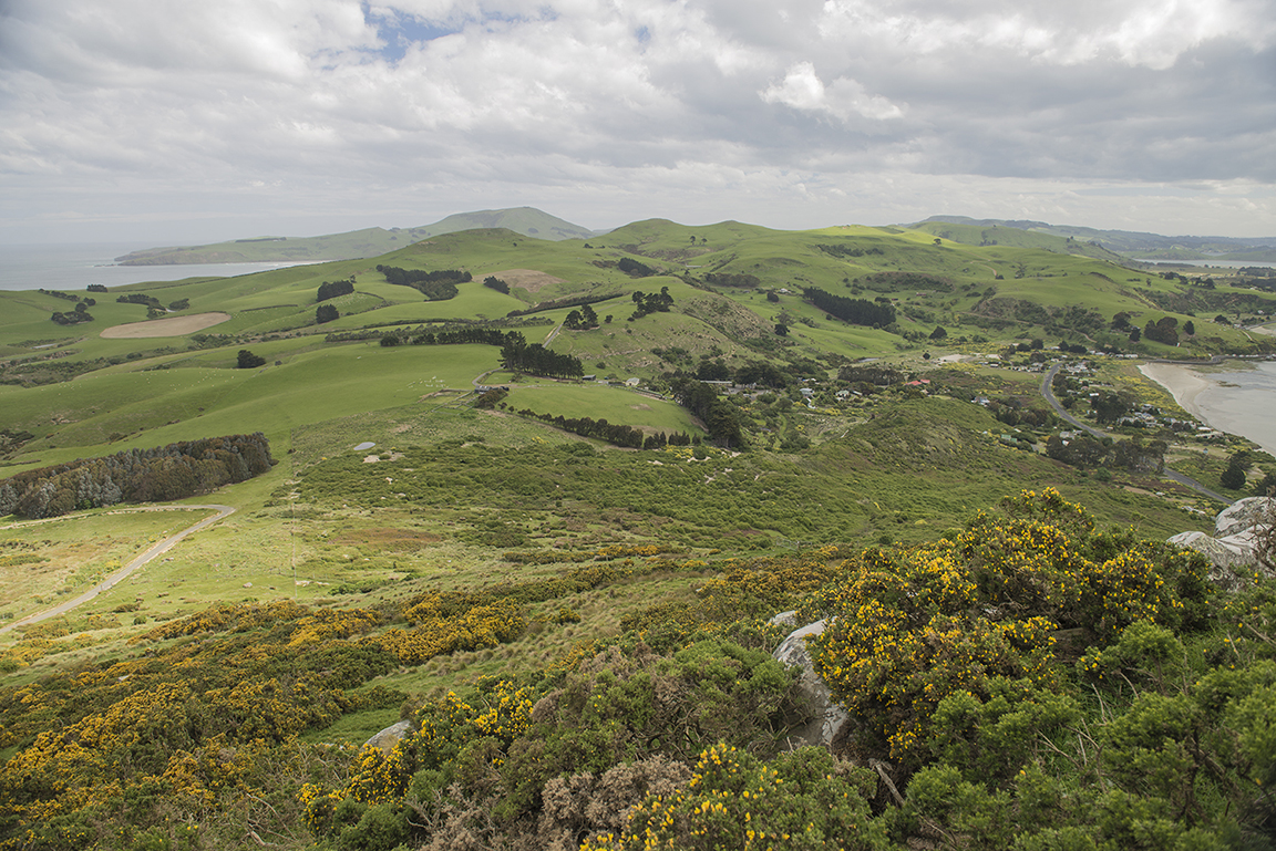 Otago Peninsula near Dunedin