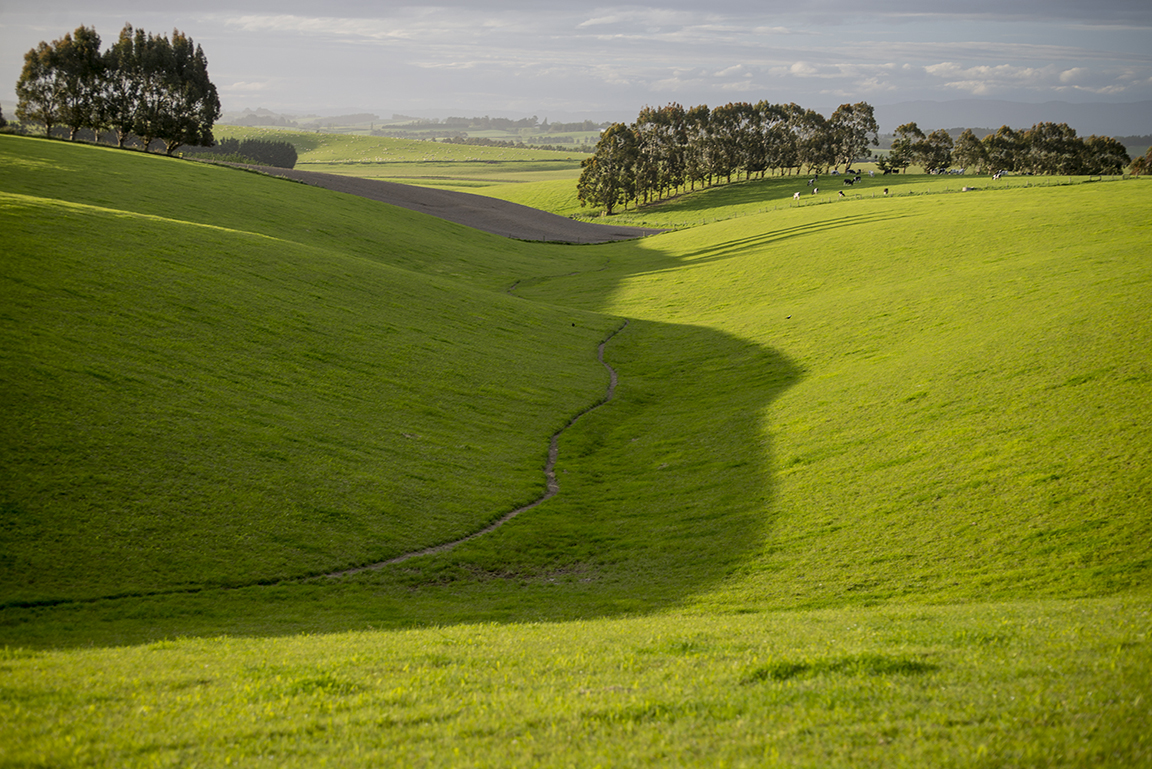 Countryside near Baclutha