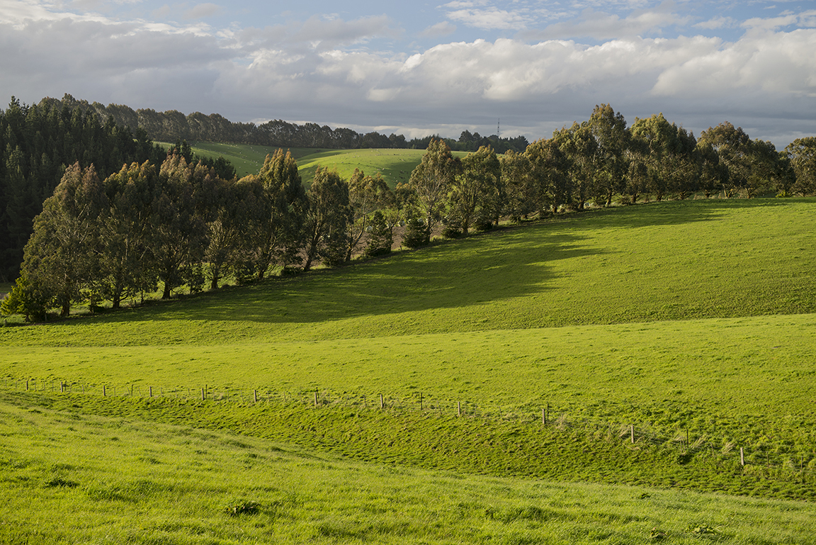 Countryside near Baclutha